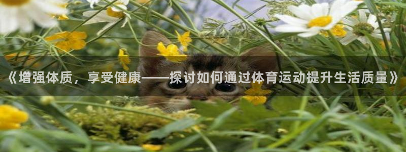 《增强体质，享受健康——探讨如何通过体育运动提升生活质量》