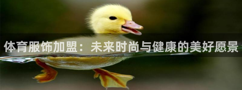 体育服饰加盟：未来时尚与健康的美好愿景