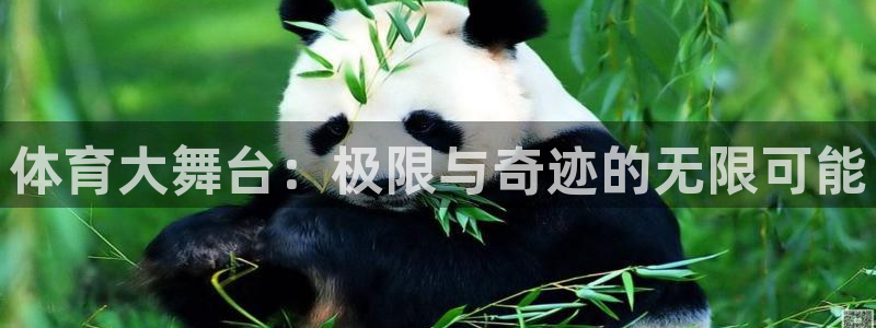 体育大舞台：极限与奇迹的无限可能