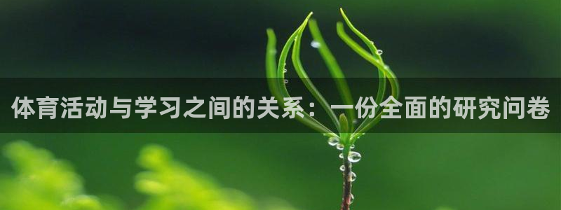 体育活动与学习之间的关系：一份全面的研究问卷