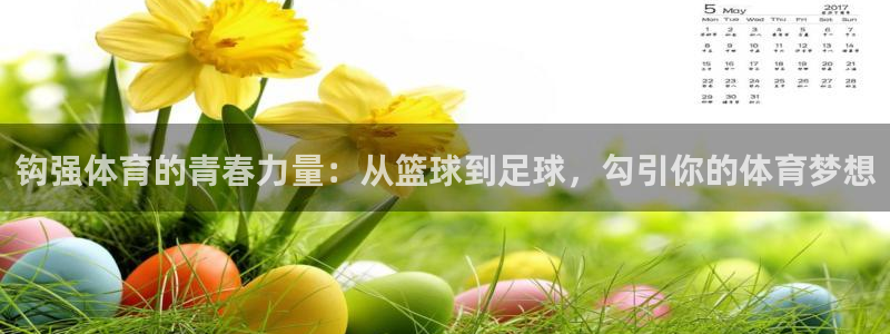 钩强体育的青春力量：从篮球到足球，勾引你的体育梦想